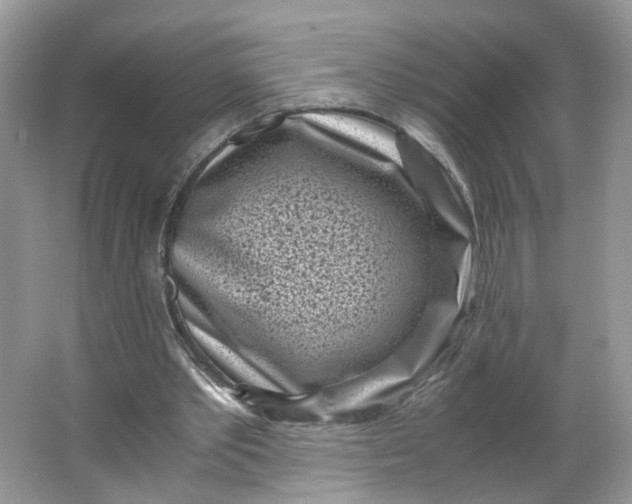 X0000066100389200603241524