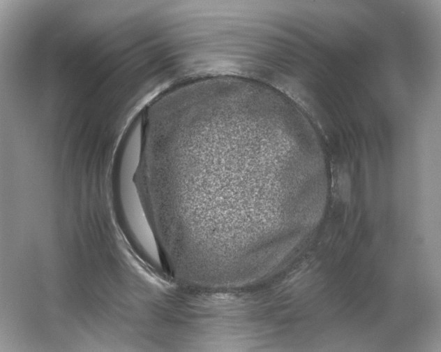 X0000066100390200603241524