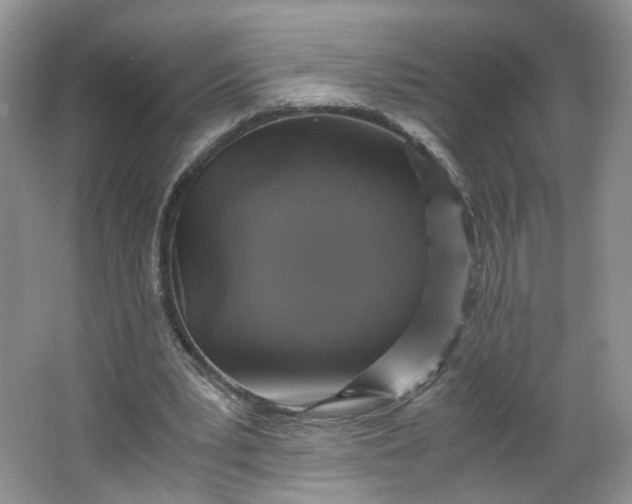 X0000066100391200603241524