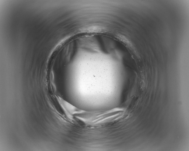 X0000066100392200603241524