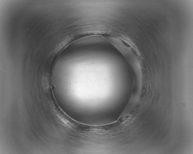 X0000066100393200603241524