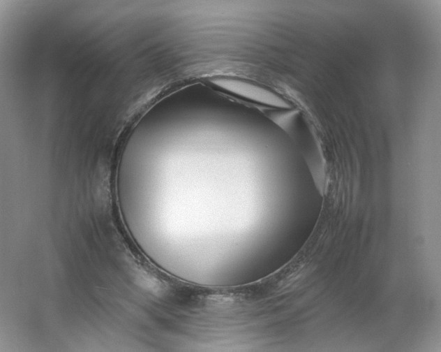 X0000066100394200603241523