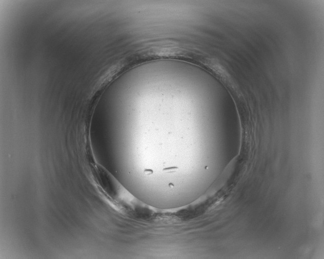 X0000066100397200603241523