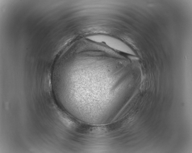 X0000066100398200603241523