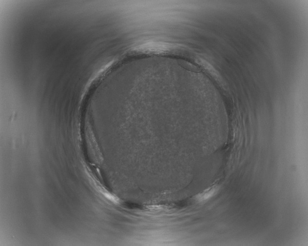 X0000066100399200603241523