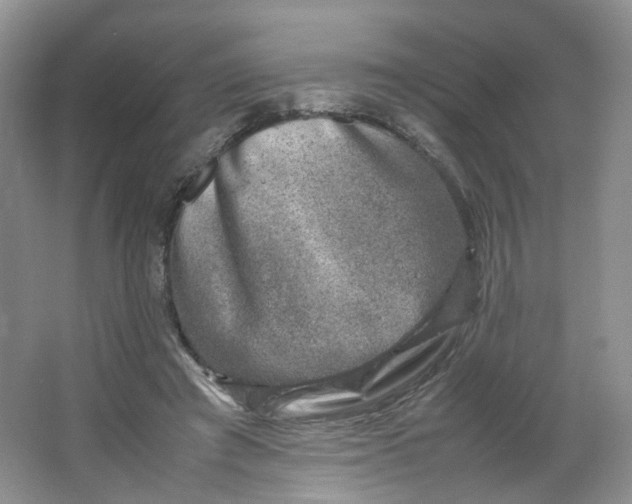 X0000066100401200603241523