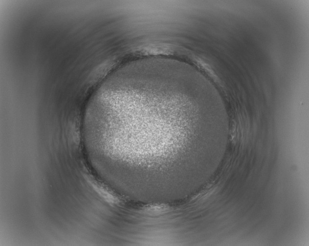 X0000066100402200603241523