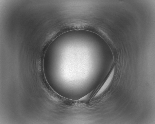 X0000066100403200603241523