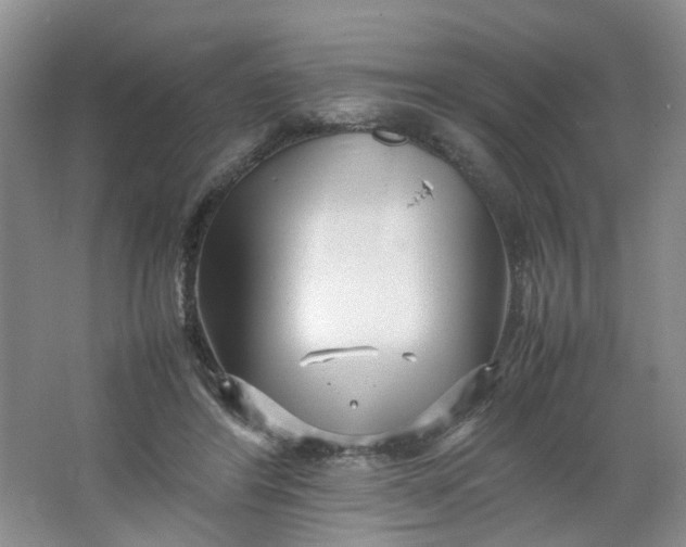 X0000066100404200603241523