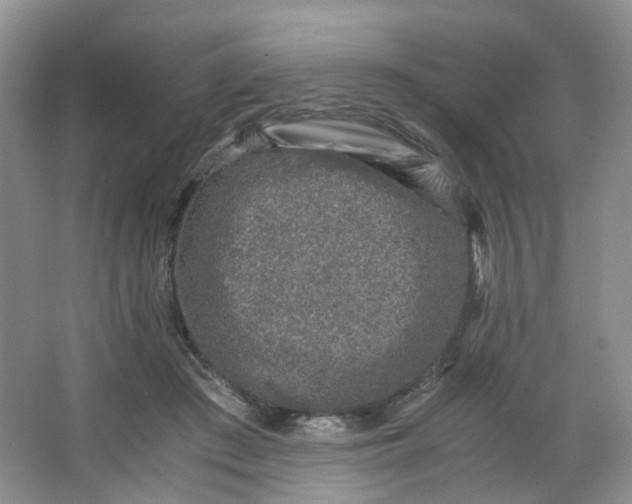 X0000066100409200603241523