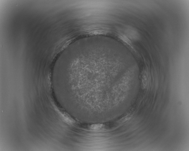 X0000066100410200603241523