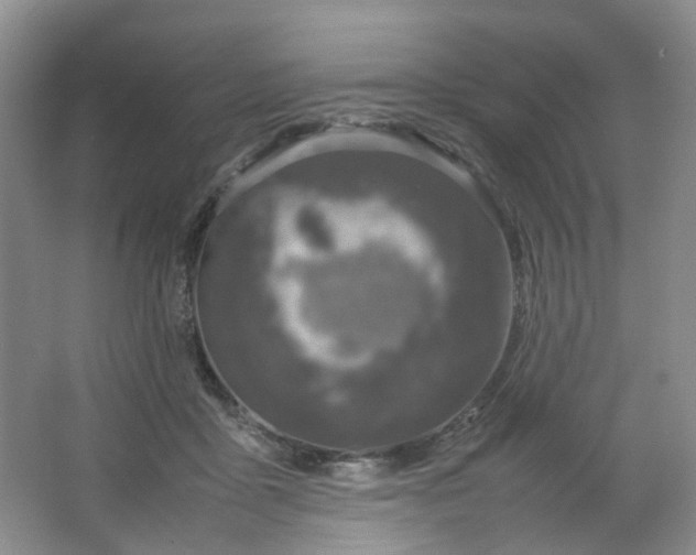 X0000066100411200603241523