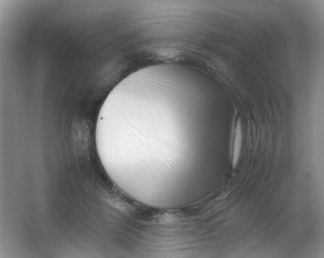 X0000066100412200603241523