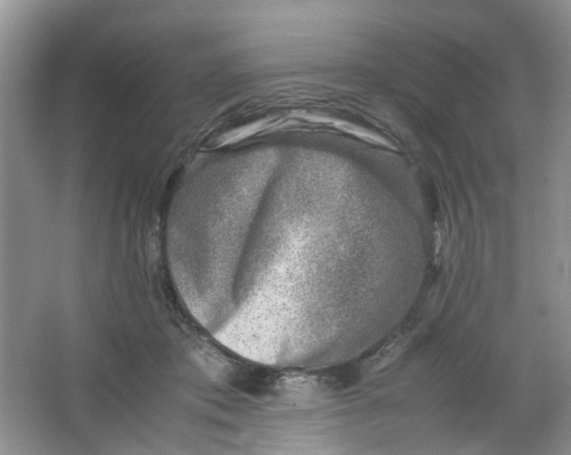 X0000066100413200603241523