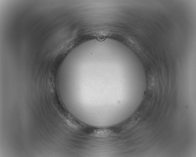 X0000066100414200603241523