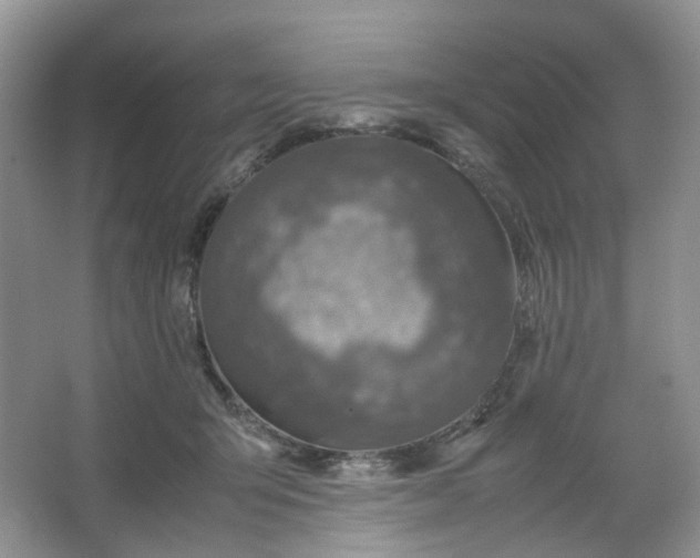 X0000066100415200603241523