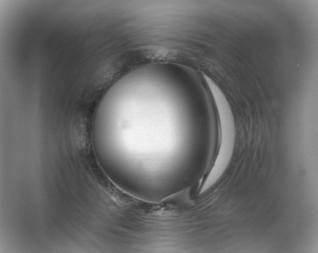 X0000066100416200603241523