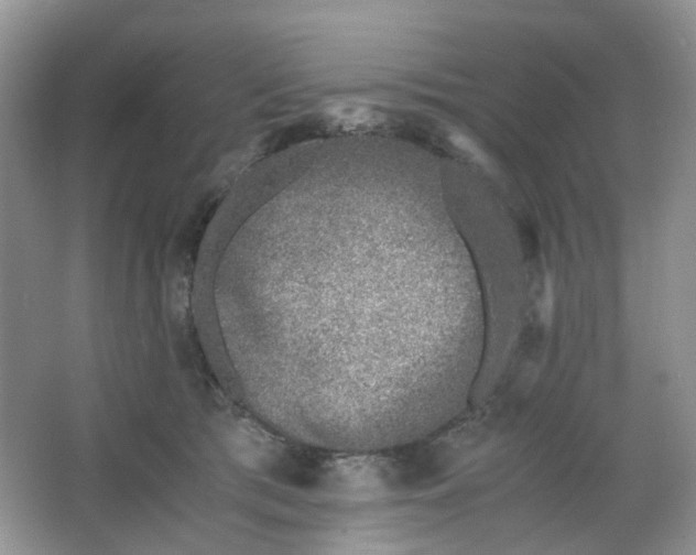 X0000066100417200603241523