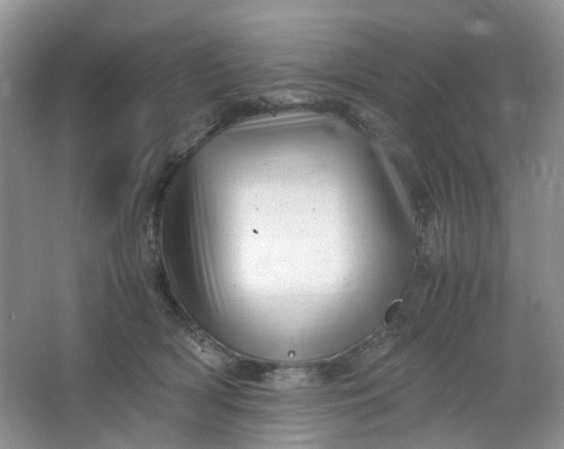 X0000066100418200603241523