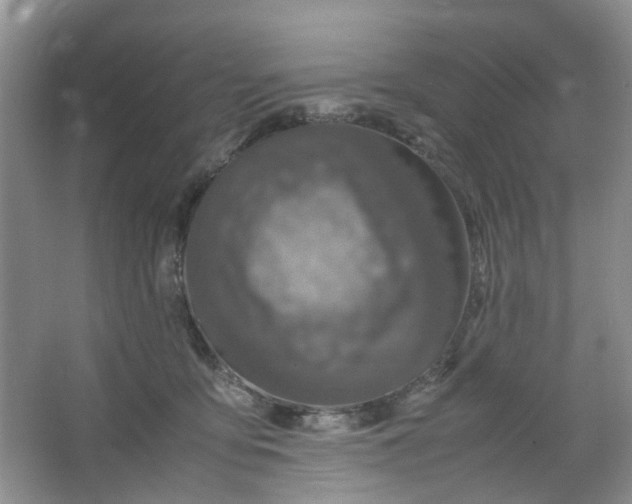 X0000066100419200603241523