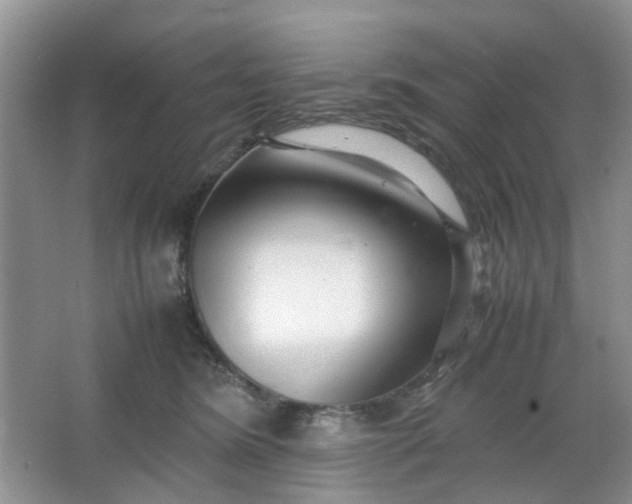 X0000066100420200603241523