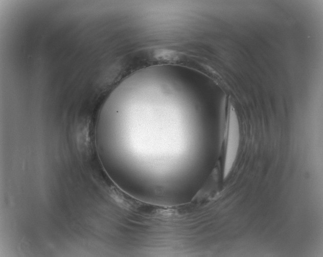 X0000066100424200603241523