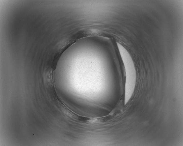 X0000066100425200603241523