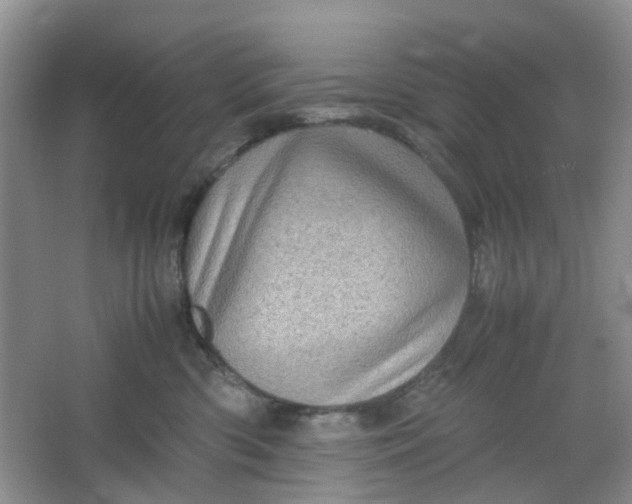 X0000066100426200603241523