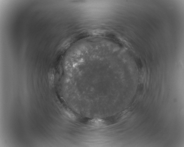 X0000066100427200603241523