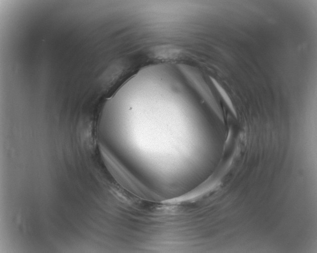 X0000066100428200603241523