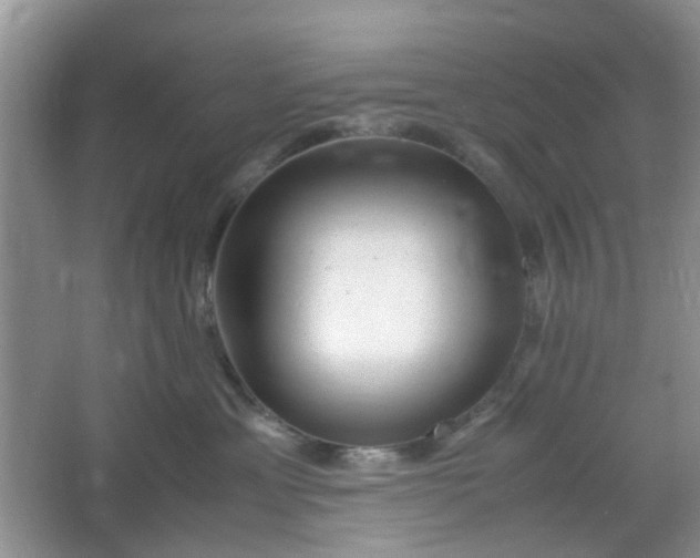 X0000066100429200603241523