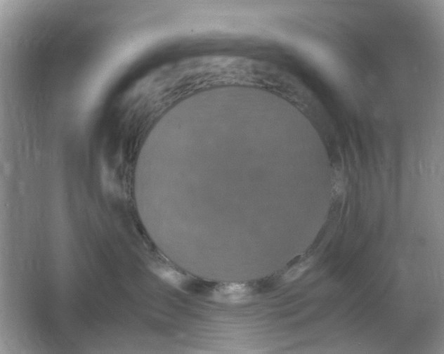 X0000066100431200603241523