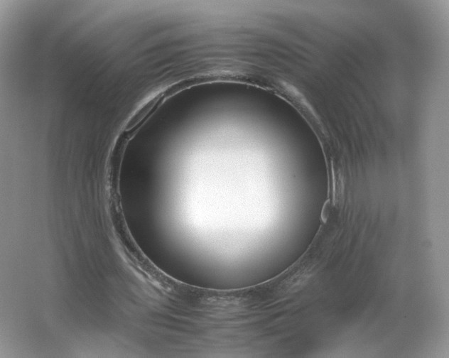 X0000066100435200603241522