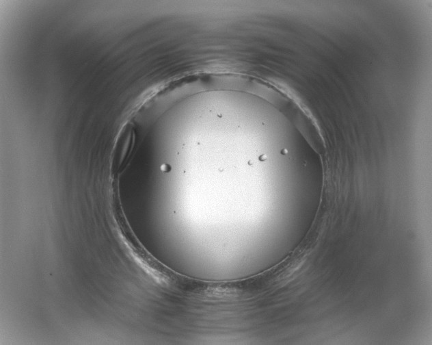 X0000066100437200603241522