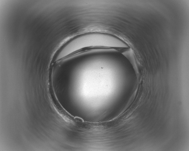 X0000066100438200603241522