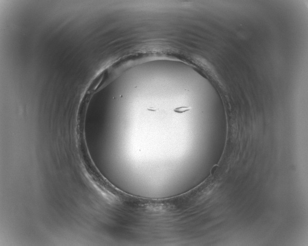 X0000066100439200603241522