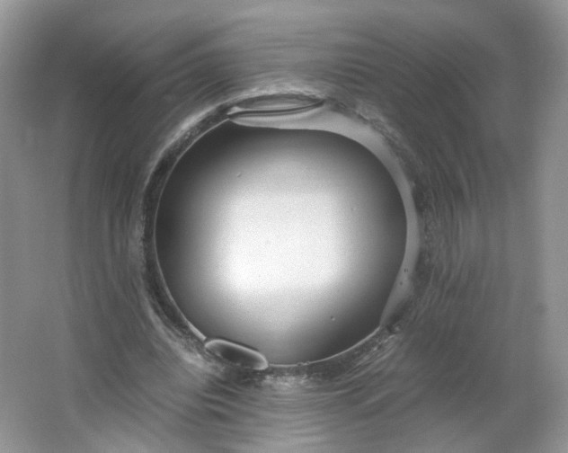 X0000066100440200603241522