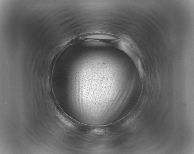 X0000066100441200603241522