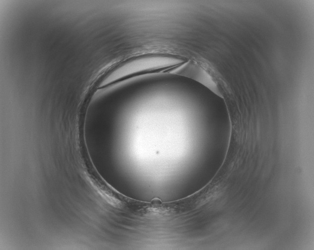 X0000066100442200603241522