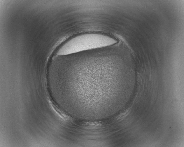 X0000066100443200603241522