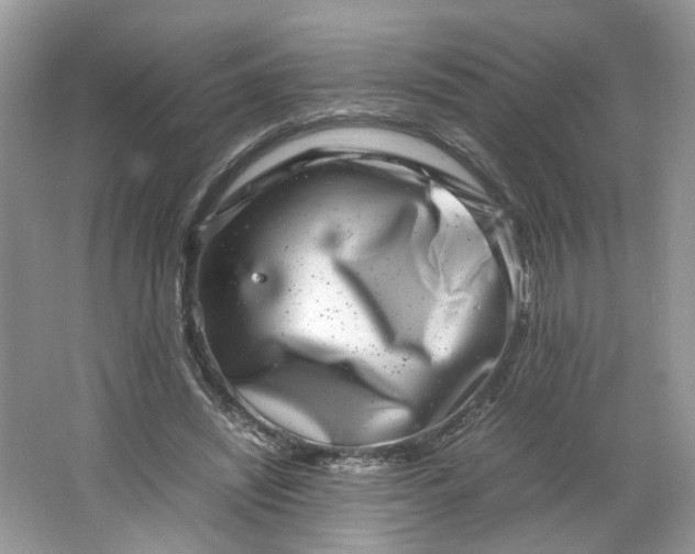 X0000066100444200603241522