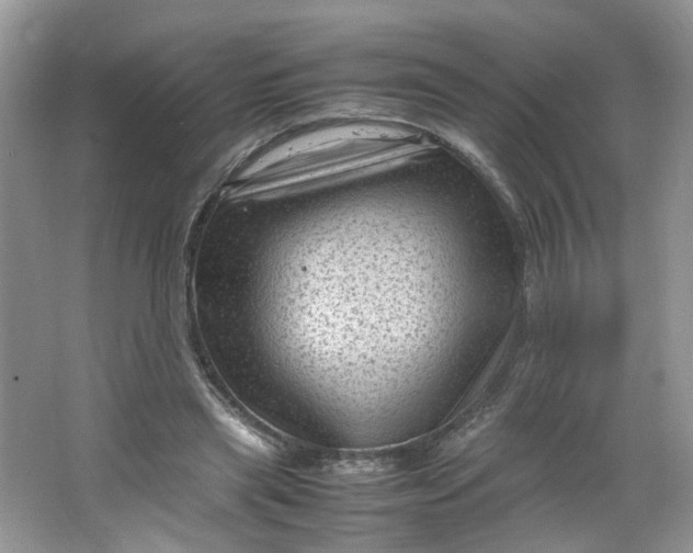 X0000066100445200603241522