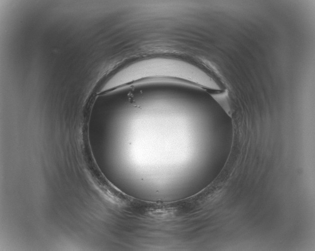 X0000066100447200603241522