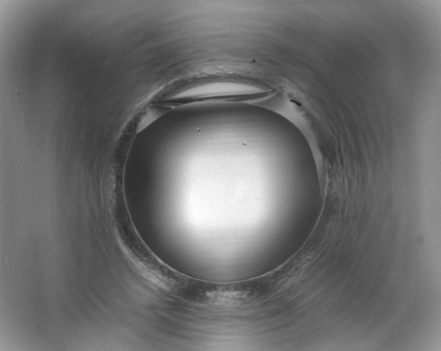 X0000066100448200603241522