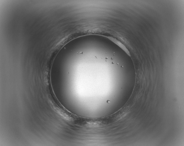 X0000066100450200603241522