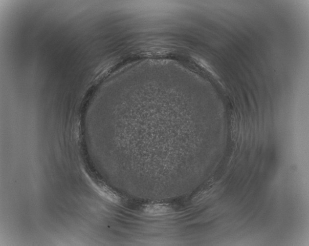 X0000066100451200603241522