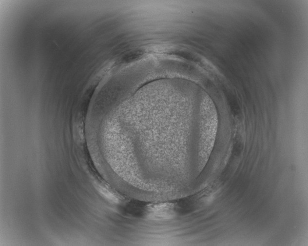 X0000066100452200603241522