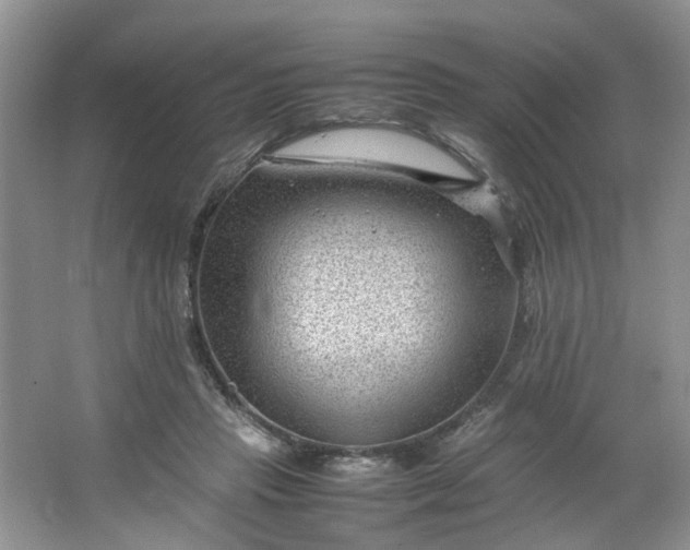 X0000066100453200603241522