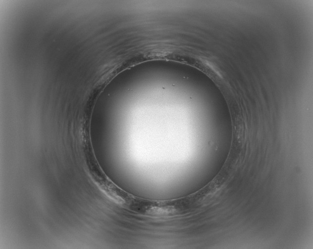 X0000066100455200603241522