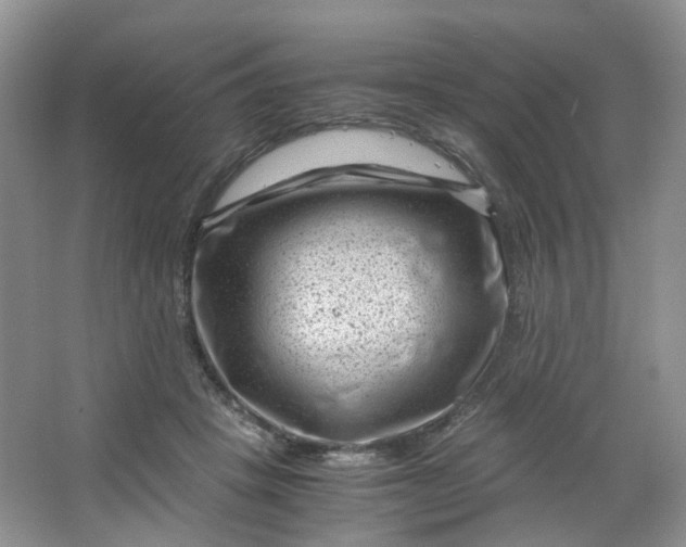 X0000066100457200603241522